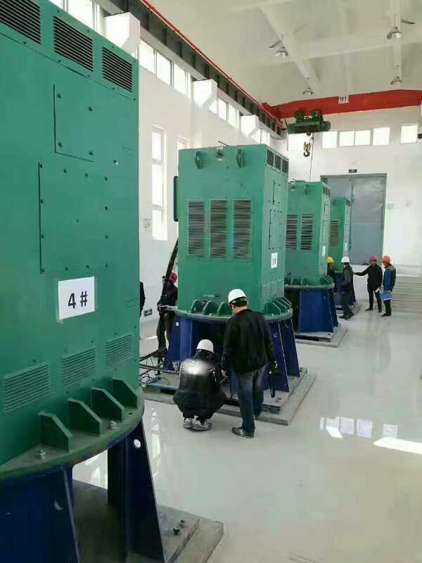 伊春某污水处理厂使用我厂的立式高压电机安装现场